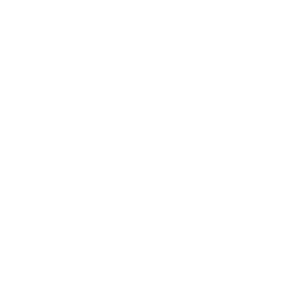 Jx Executive white